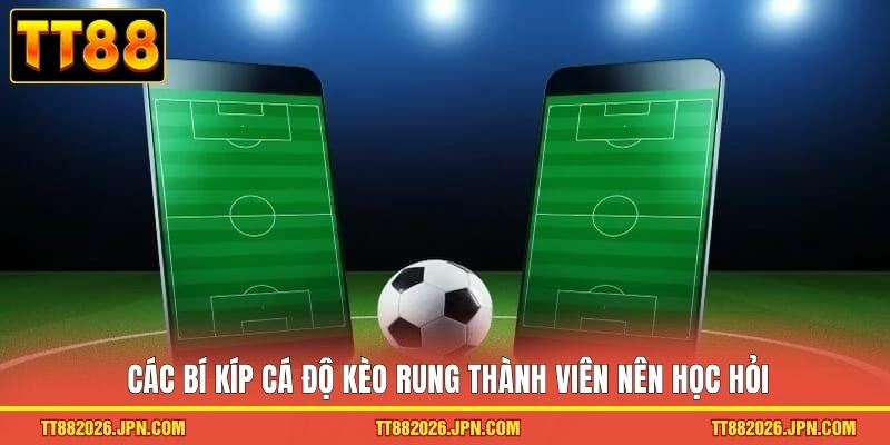Các bí kíp cá độ kèo rung thành viên nên học hỏi