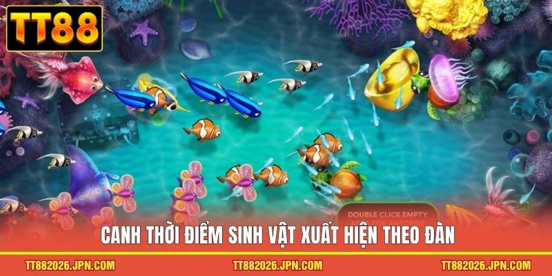 Jili Bắn Cá TT88 Ra Khơi Khám Phá Đại Dương Kho Báu Khủng 3 Canh thời điểm sinh vật xuất hiện theo đàn