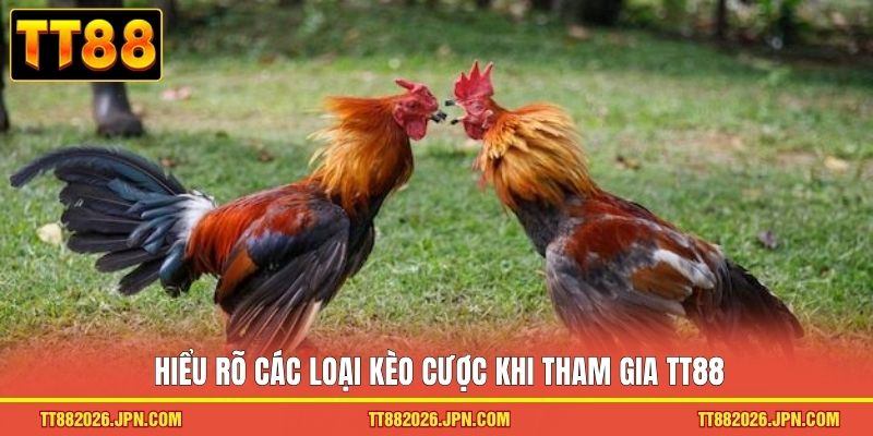 Đá gà TT88 3 Hiểu rõ các loại kèo cược khi tham gia TT88